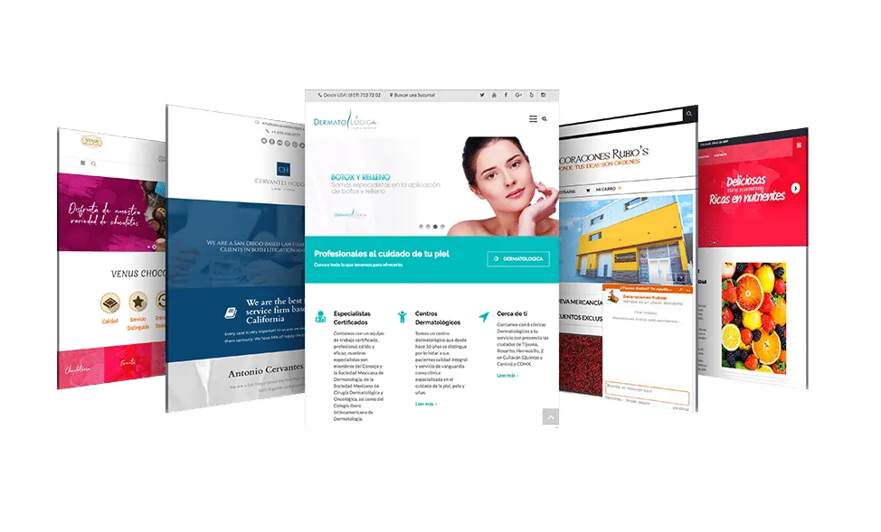 Páginas web diseñadas por Equipo Gurú